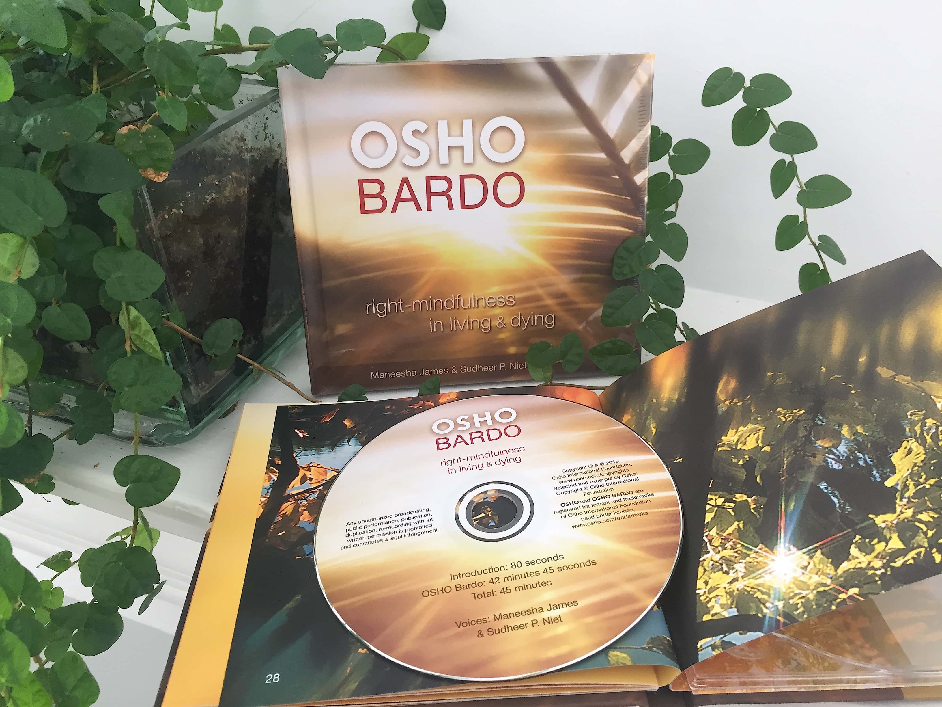 Music for OSHO Meditations: OSHO Golden Light Meditation